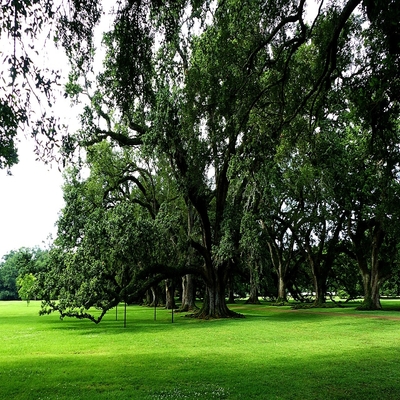 Louisiana